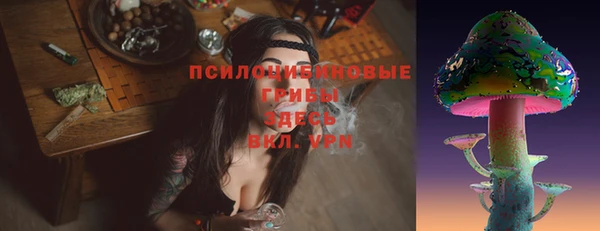 твердый Алзамай