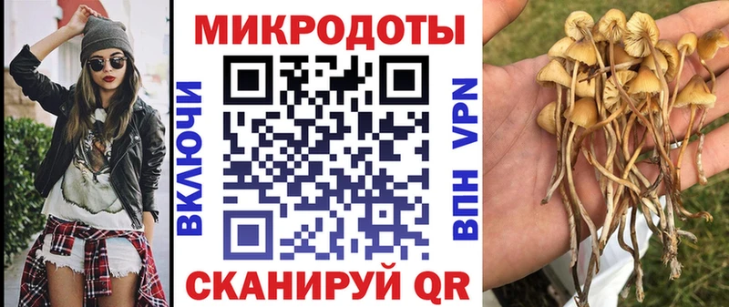 Галлюциногенные грибы GOLDEN TEACHER  купить  сайты  Ноябрьск 